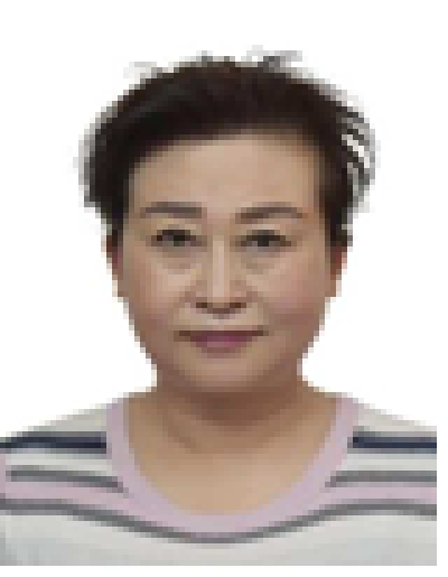 陈鸿雁